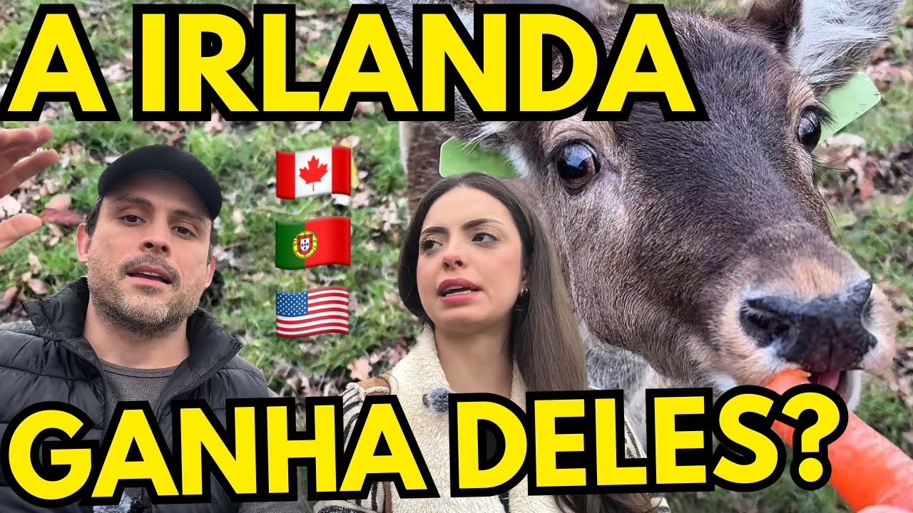 Por Que Escolhemos a Irlanda (E Não Canadá, EUA ou Portugal?) 🇮🇪