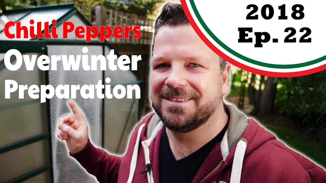 Overwintering Preparations for my chillis, and an announcement! (2018.E22 Garden Updates)