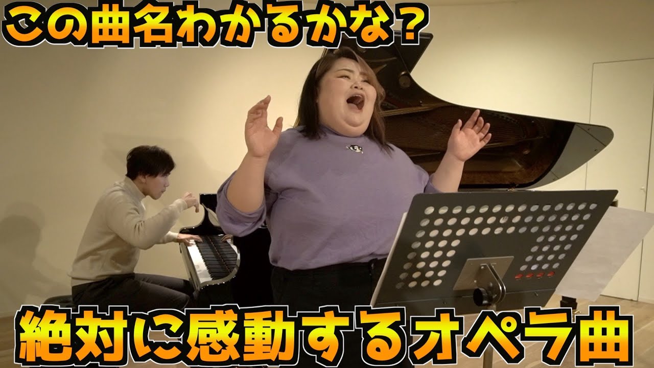 【曲名わかるかな？】絶対に感動するオペラ曲【トゥーランドット】誰も寝てはならぬ プッチーニ