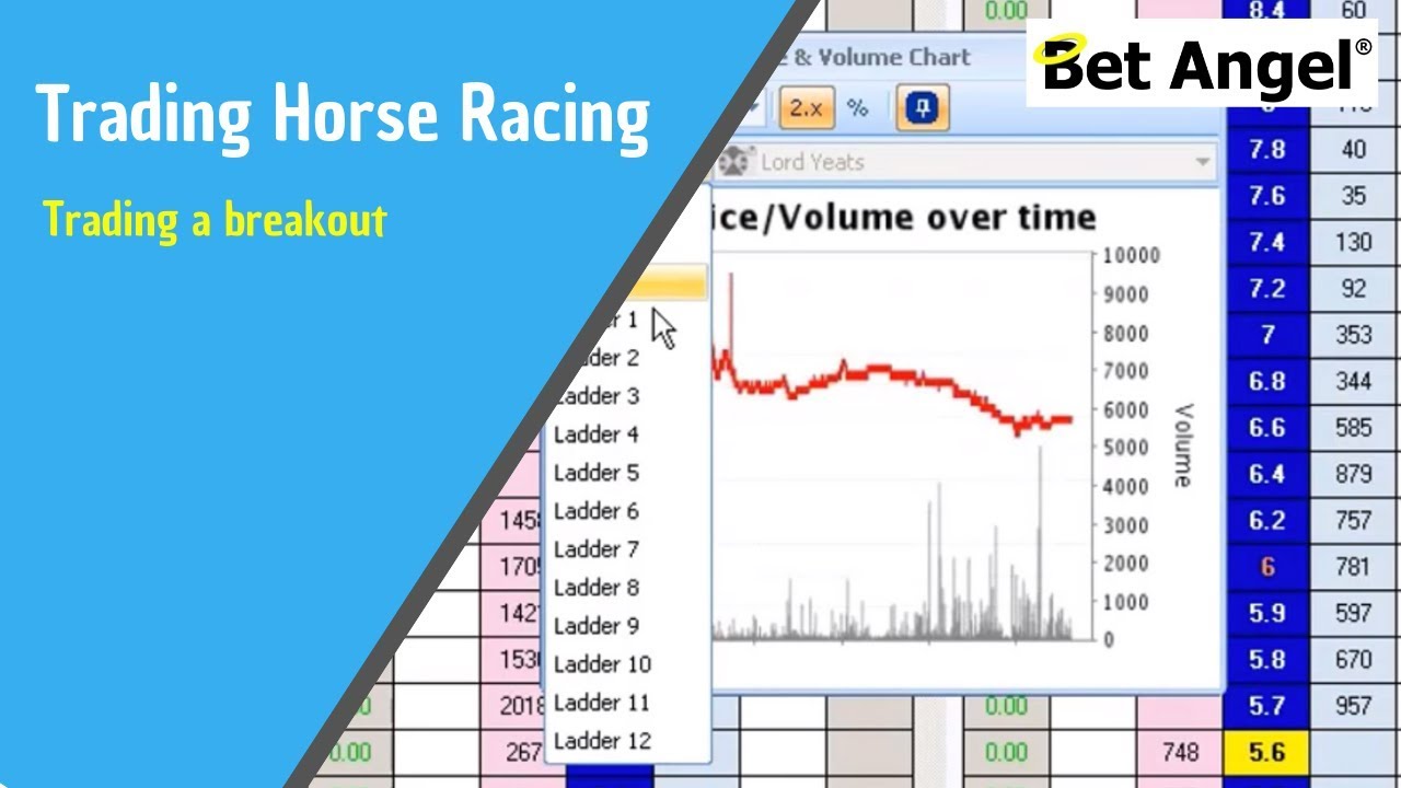 Betfair trading strategies - Trading a breakout - Peter Webb