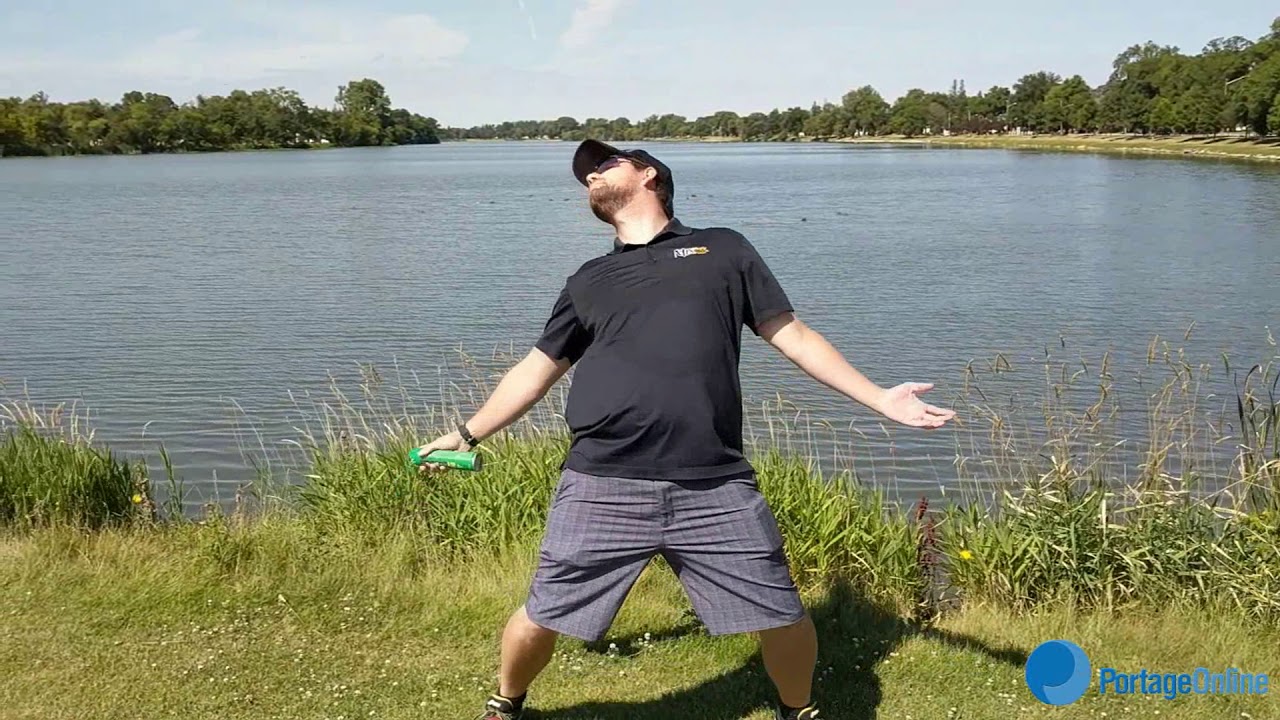 Dead Mosquito {Despacito Parody}