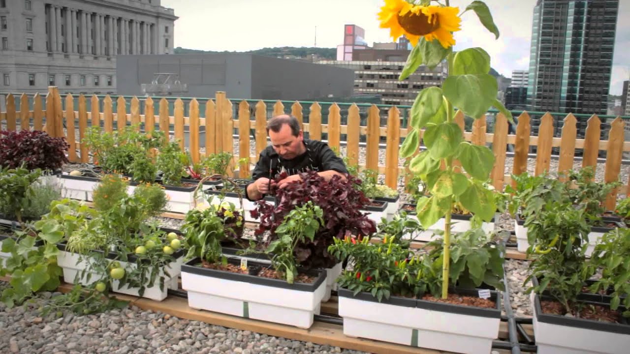 Fairmont Green Partnership -- Our Commitment to the Environment