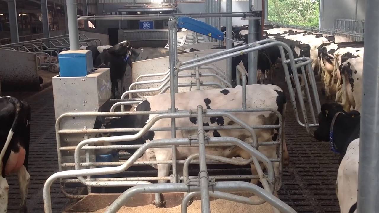 SAC Bedrijfsreportage Mts. Mebelder Halle (NL)