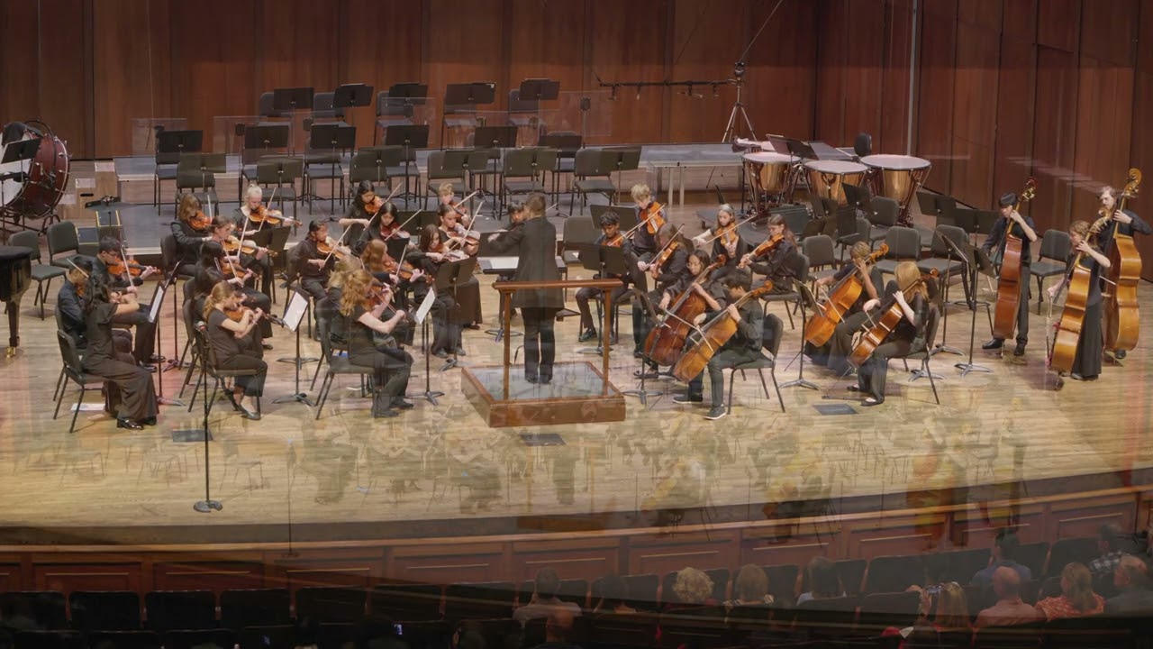 Spring Concert '25 Chamber Orchestra