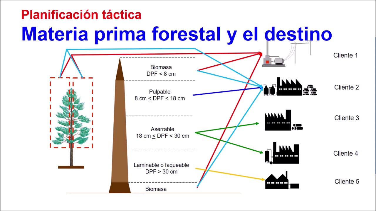Planificaci&oacute;n Operativa de la Cosecha Forestal - Parte 1
