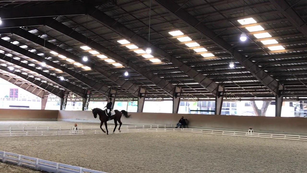 DRESSAGE FREESTYLE | Pirates of the Caribbean Inspired