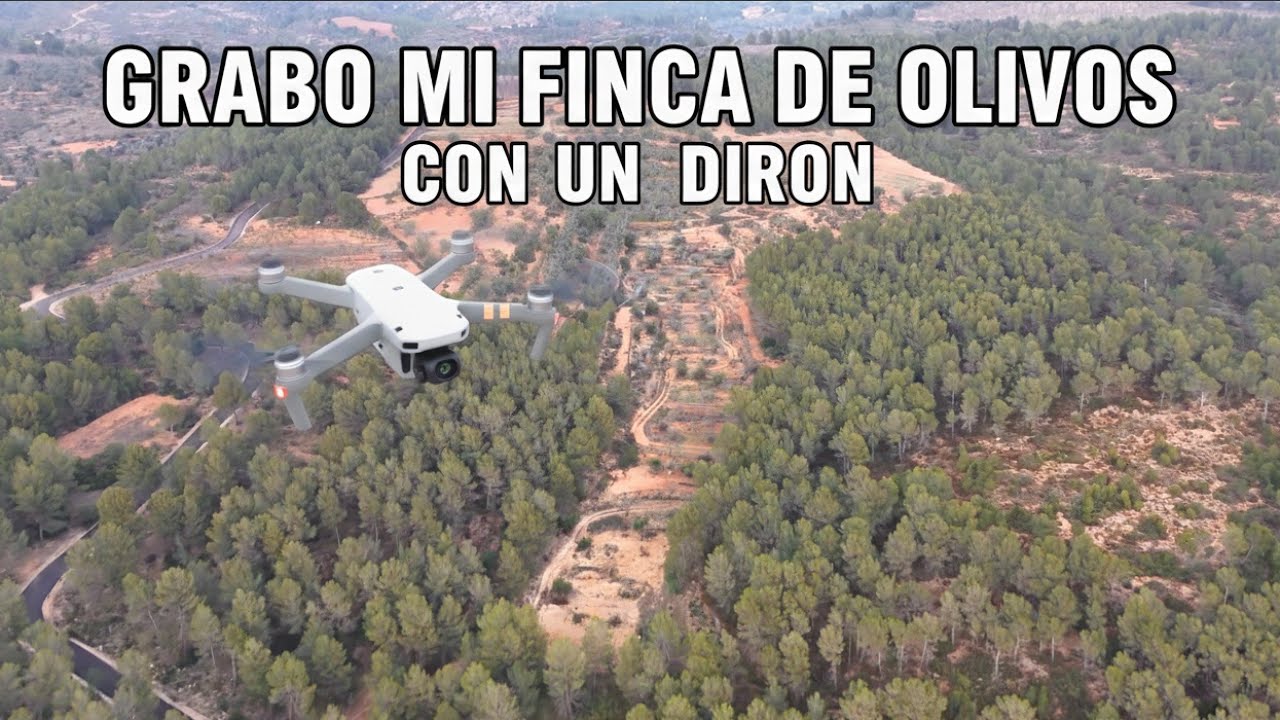 ¡¡Nuestra finca de olivos DESDE EL AIRE ✈️🛫🌳⛰️!!