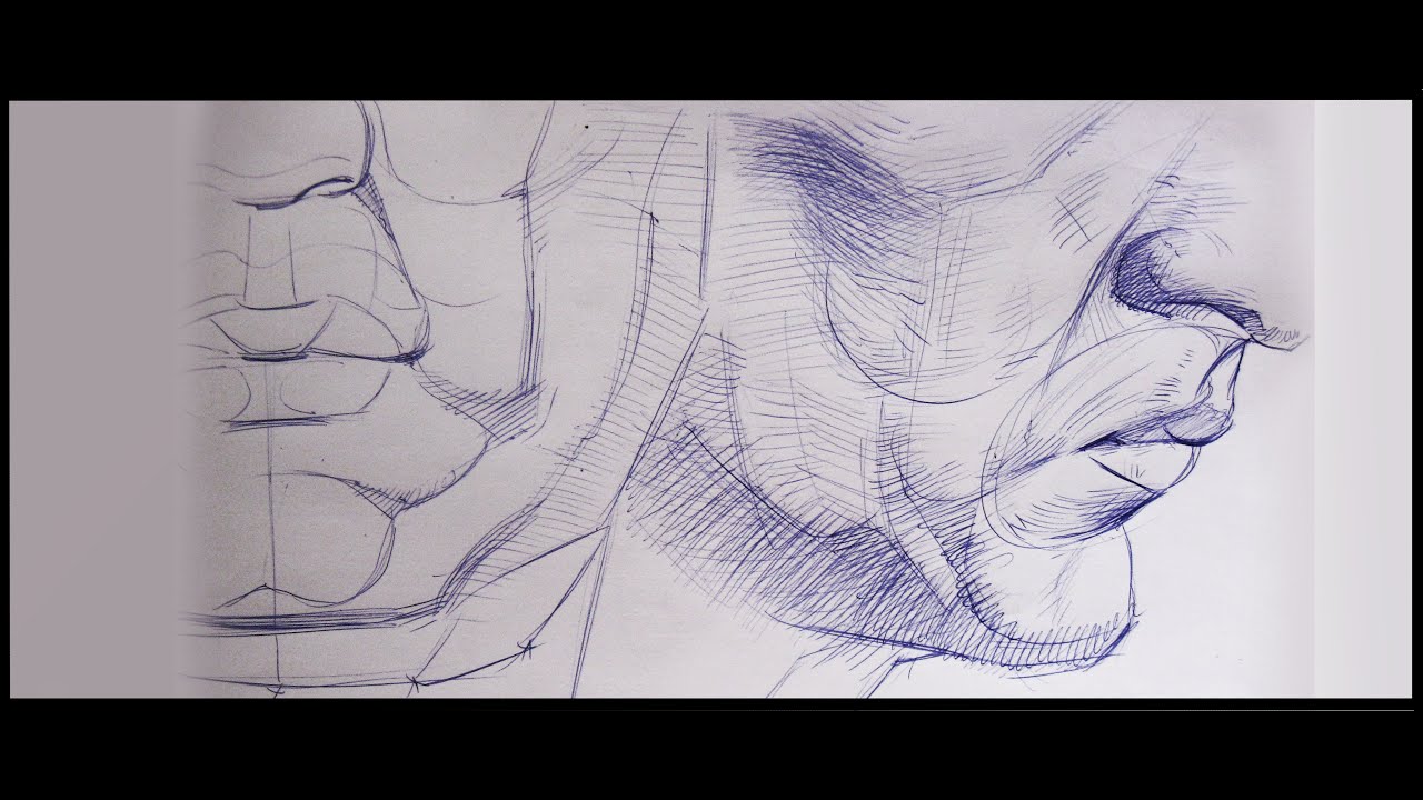 PLANOS MEJILLA Y TORSO