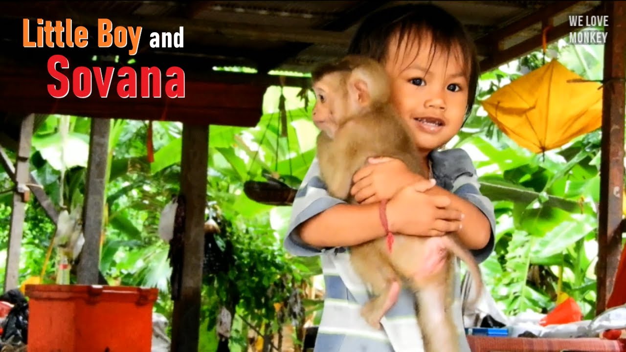 Abandoned Monkey Sovana is Not Lonely Cuz Has Lovely Little Boy to Be Sovana's Brother For Playing