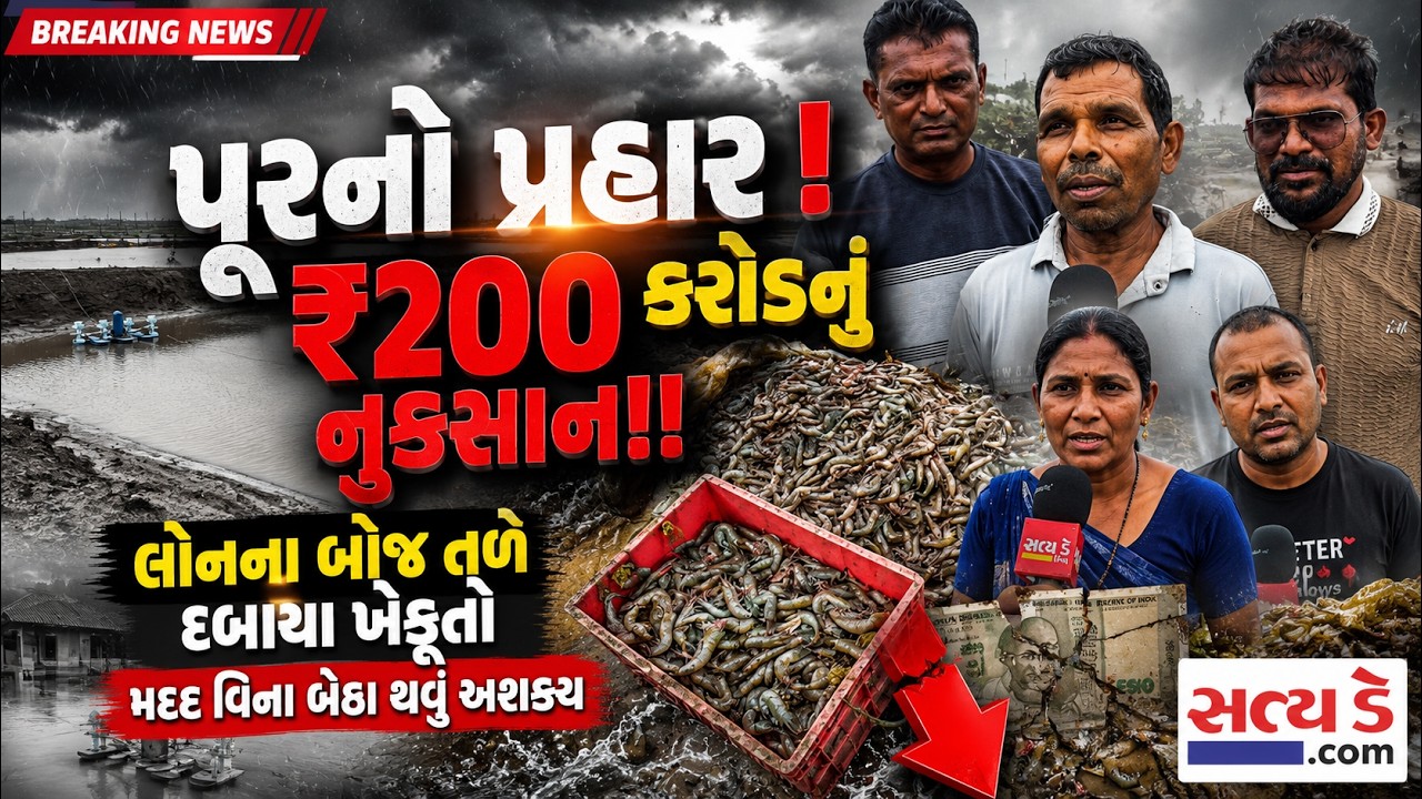 VALSAD: પૂરનો પ્રહાર: 200 કરોડનું નુકસાન!! લોનના બોજ તળે દબાયા ખેડૂતો મદદ વિના બેઠા થવું અશક્ય