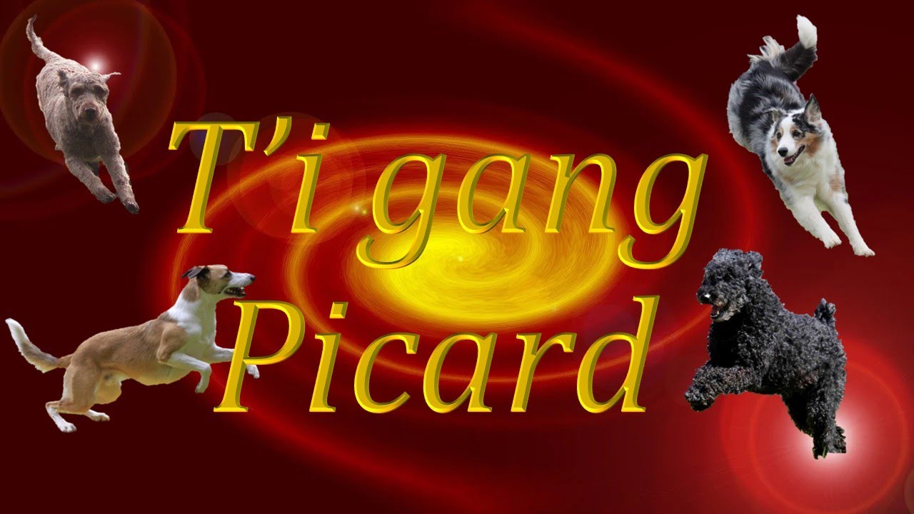 2025/07/05 & 06 Finale du Trophée par équipe Arpajon sur Cère