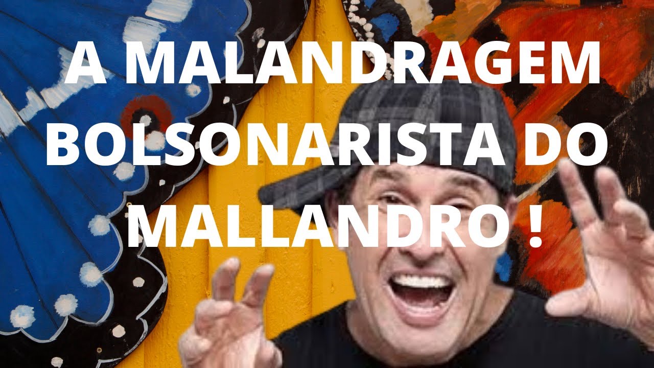 A MALANDRAGEM BOLSONARISTA DO MALLANDRO !