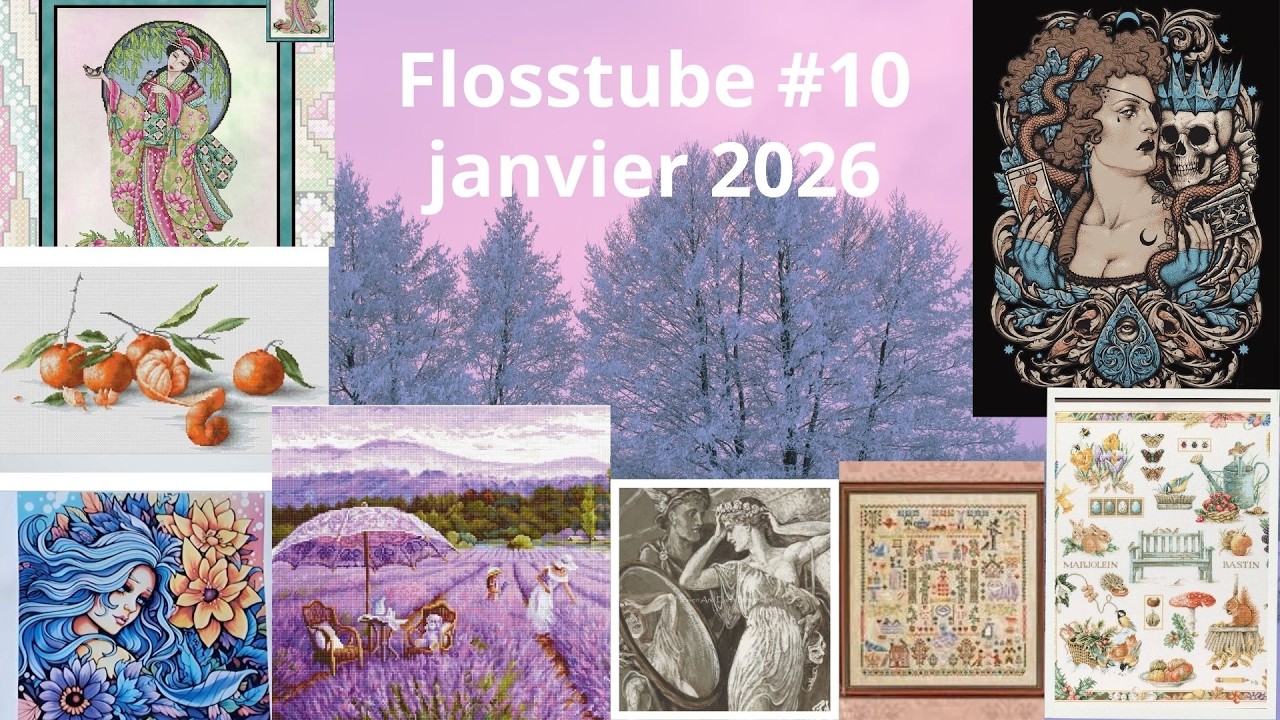 Flosstube #10 Janvier 2026 #pointdecroix #flosstube #haedsal2026