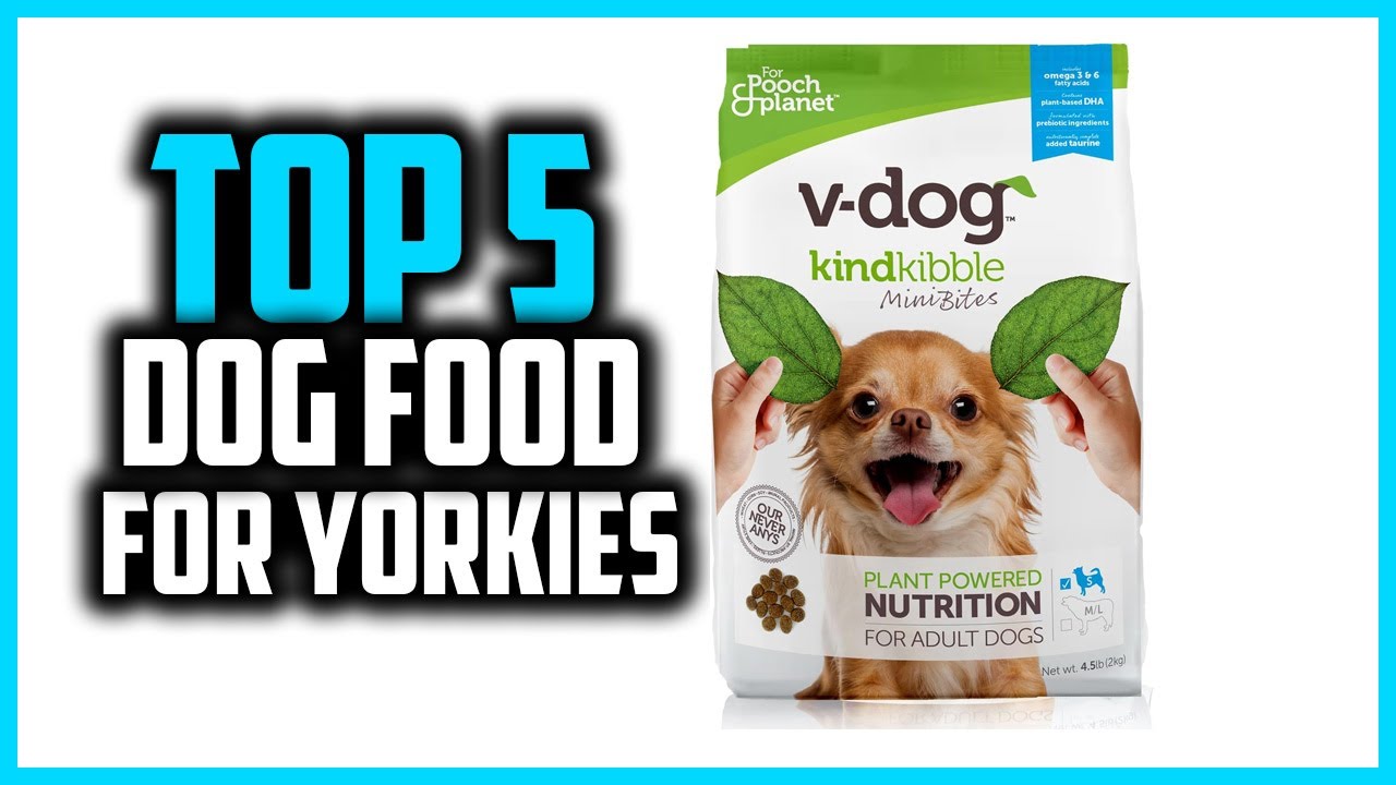 Top 5 Best Dog Food for Yorkies of 2025
