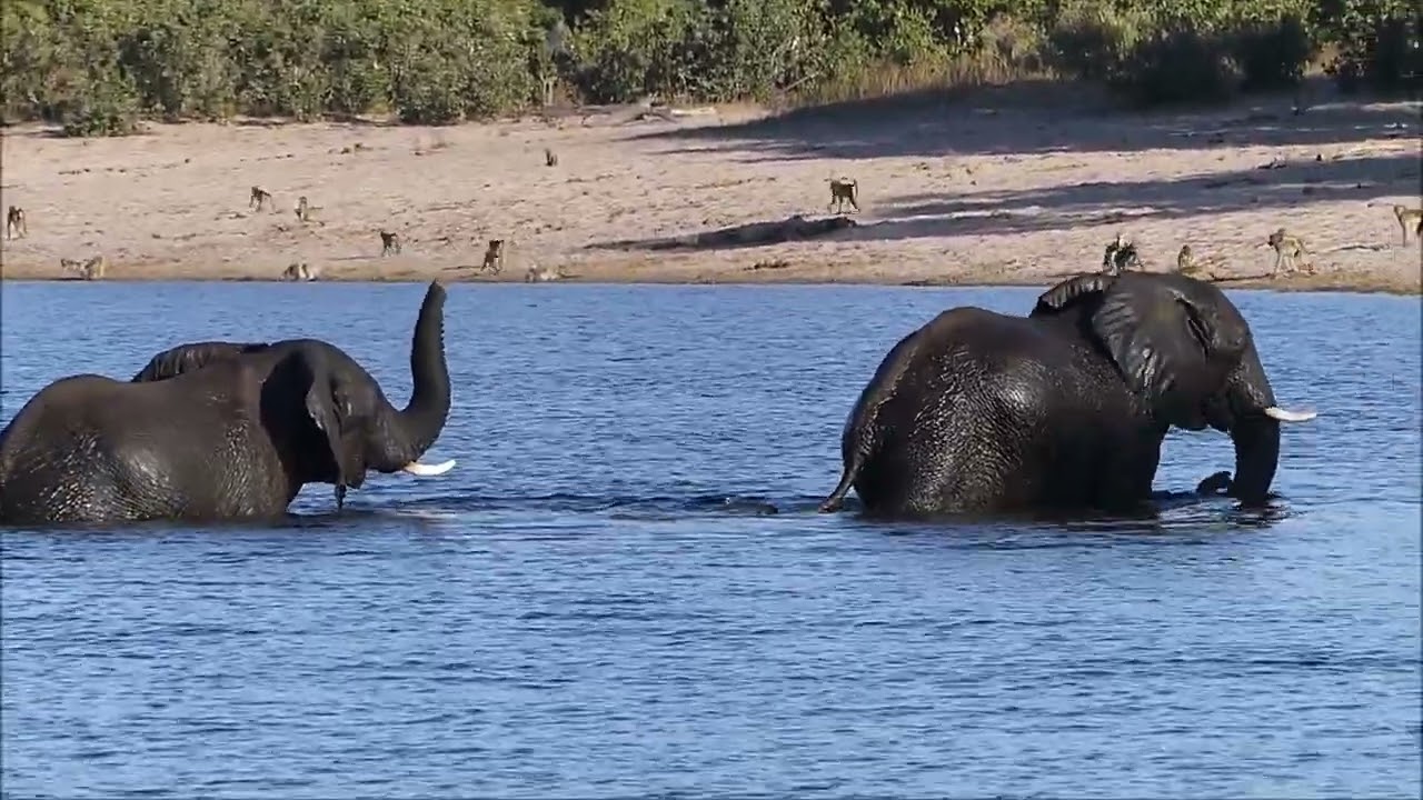 Botswana Namibie 22