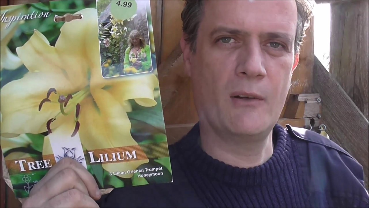 How to Plant Gladioli Bulbs - Allotment Grow How #gardening #gardeninguk