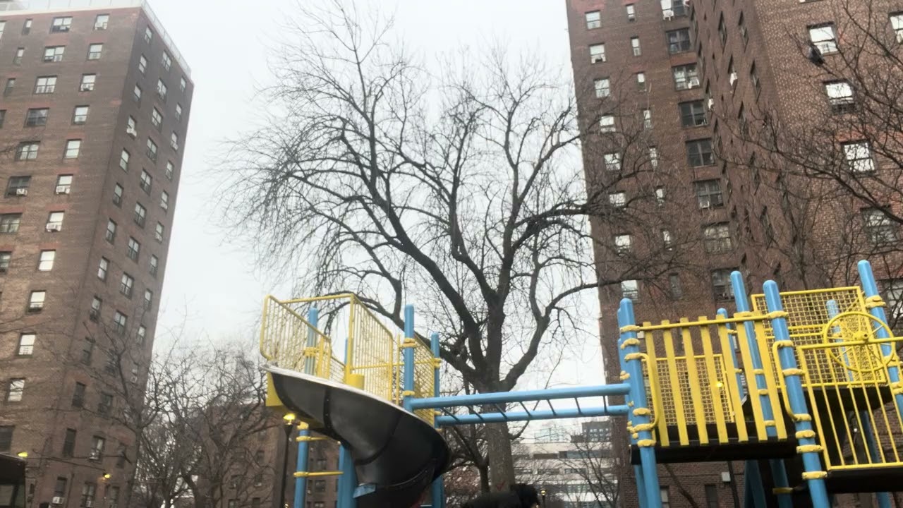 #outside #gym #fitness how to grow with calisthenics 