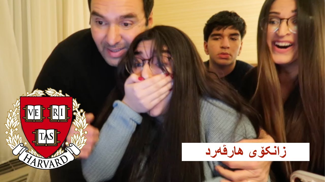 KURDISH VLOG/ bizanin Dalal dachet bo Harvard?/ئایا دەلال لە زانکۆی هارڤەرد وە ر دەگیرێت؟