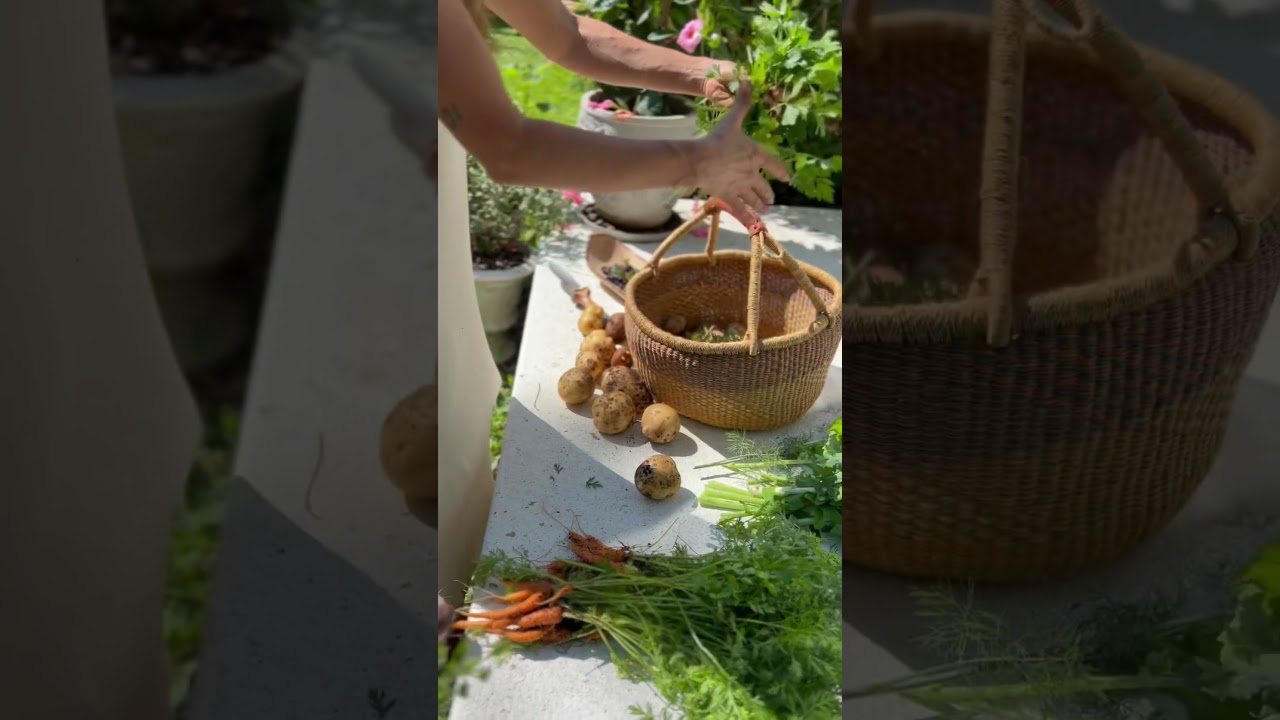 Hot summer garden is coming to its end! ☀️🌱 #summergarden #harvesttime