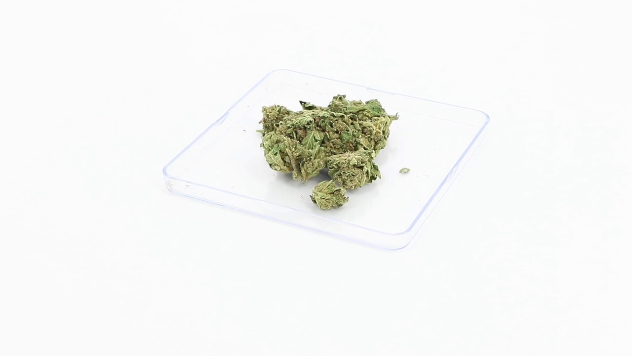 cannabis Cpure fedtonic 3 grammes