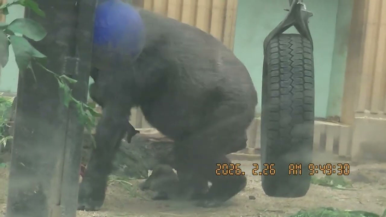 げんき　2026．2．26　その1