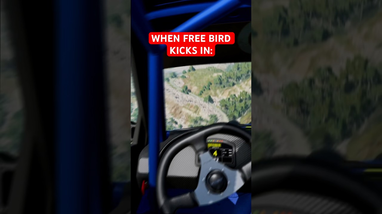 *FREE BIRD INTENSIFIES* 