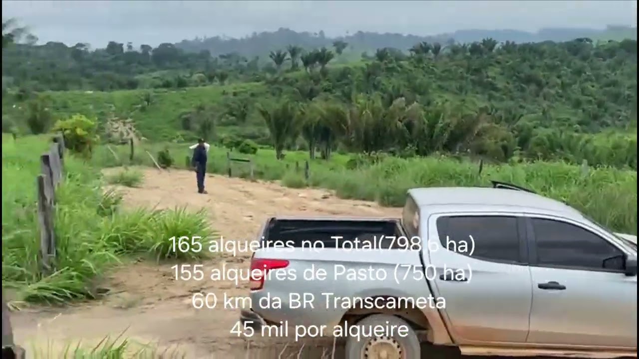 165 alqueires (798,6). A Venda em Tucurui Pará @Jamesagroforte 