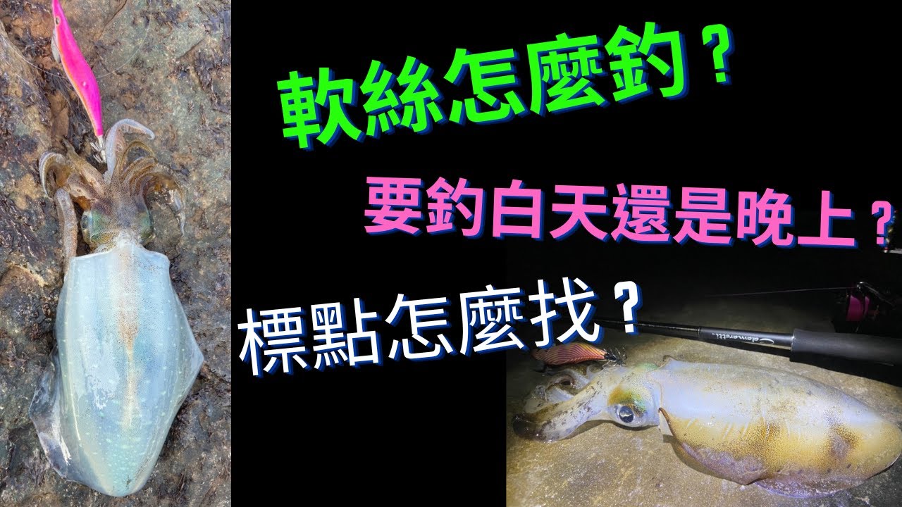 路亞軟絲｜新手請入座！帶你一步步進入花軟坑！軟絲生魚片是真滴香R！