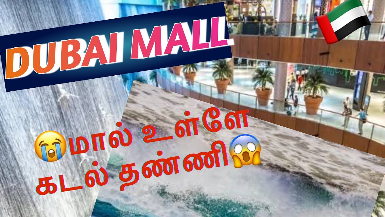 🇦🇪Dubai Mall sea water #seaaquarium #simplyjiya #trendingvideo #trending #travel #tamilyoutuber
