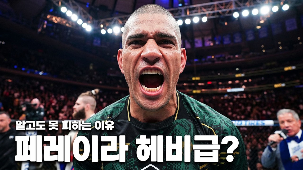 뻔히 보이는 왼손인데 왜 기절하나? 페레이라 3단계 알고리즘