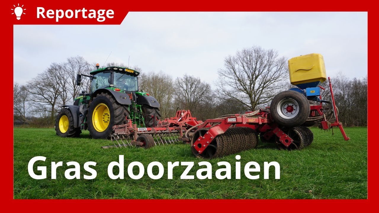Doorzaaien na rijschade
