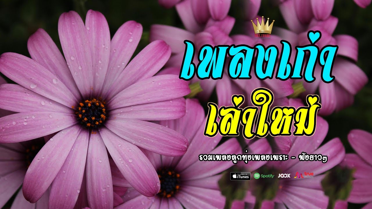เพลงเก่า เล่าให้ฟังใหม่ - รวมเพลงเก่าๆเพราะๆ ฟังเพลินๆ