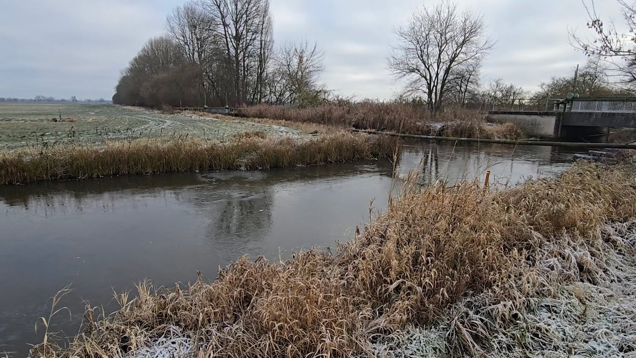 Hecht angeln am Graben eiskalt erwischt ! #angeln #fishing #fishingvideo 