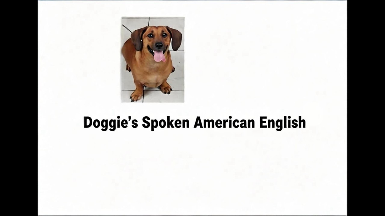 Words of the Week (14): How to pronounce words and phrases in American English (spoken English)
