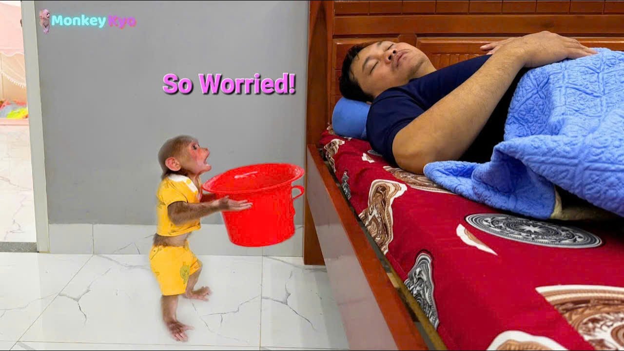 Dad is sick&hellip; Monkey Kyo was so worried &ndash; This is what she did for him 💕