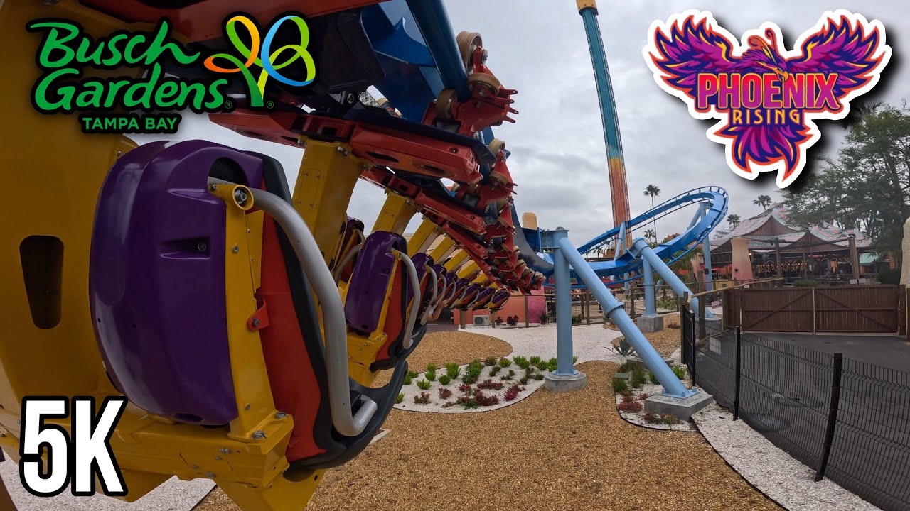 Phoenix Rising High Quality 5K Back Row- Busch Gardens Tampa Bay