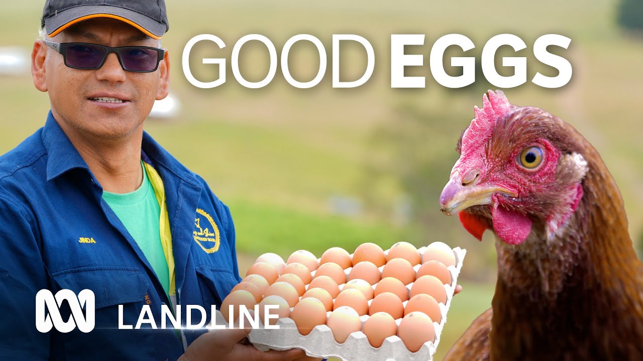 Farm gives people living with disability a crack at the job market, one egg at a time | Landline