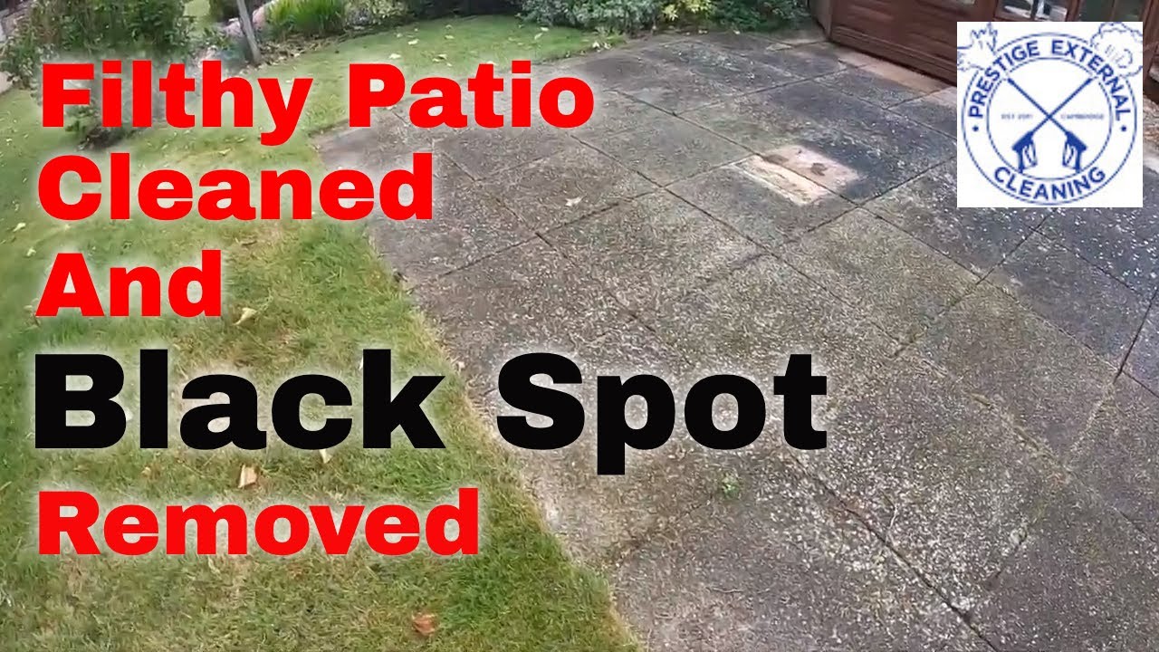 Patio Cleaning  | Black Spot Removal