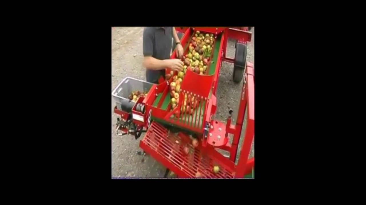 Feucht-Obsttechnik - Fruit Cleaner Fruit Sorting Trailer (1)