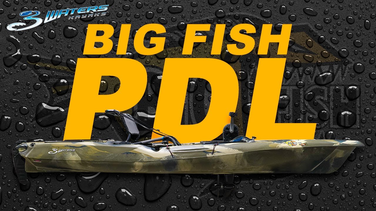 BigFish PDL Overview Final