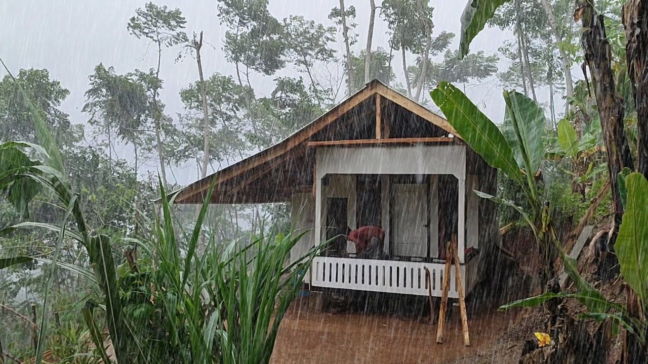 Hujan Deras Nonstop 🌧️ Hidup Sederhana Di Desa   Mencari Daun Pakis Di Hutan - Panen Kacang Tanah