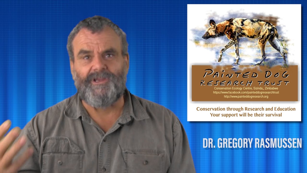 Beltservice Corporation - Painted Dog - Dr. Greg Rasmussen (FULL VIDEO)