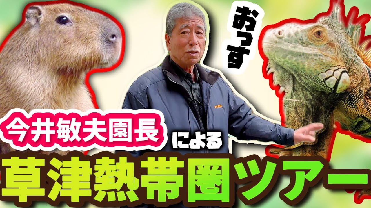 🌎祝・55周年🌎 草津熱帯圏 園長が語る！夢のトロピカルワンダーランド全貌公開！【施設紹介／貴重映像】