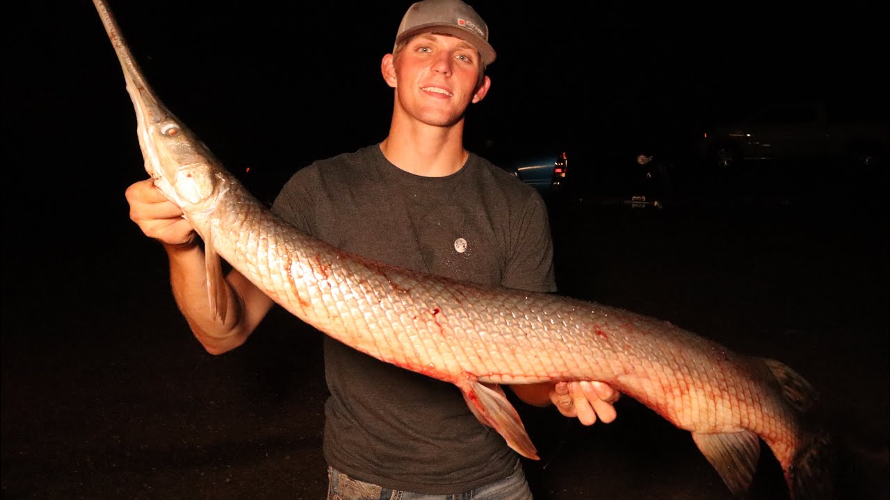{Big fish down!} Bowfishing for big gar!