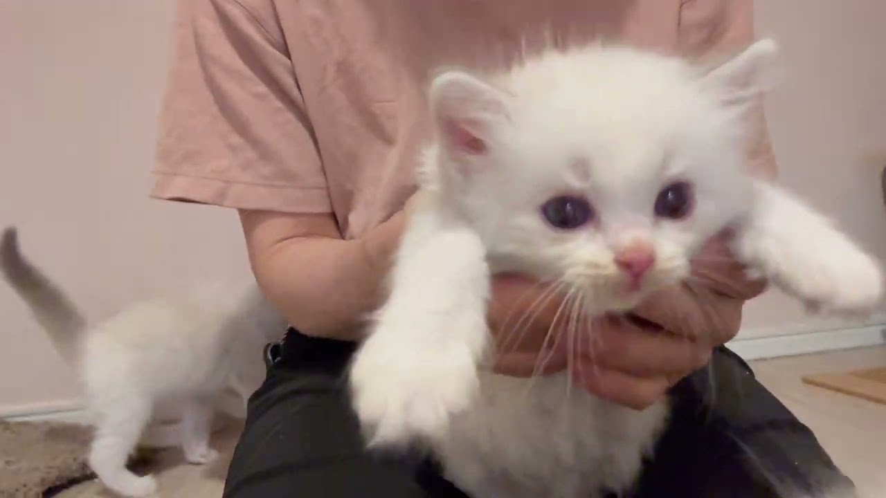 幸くんの生まれた日から卒業まで💖