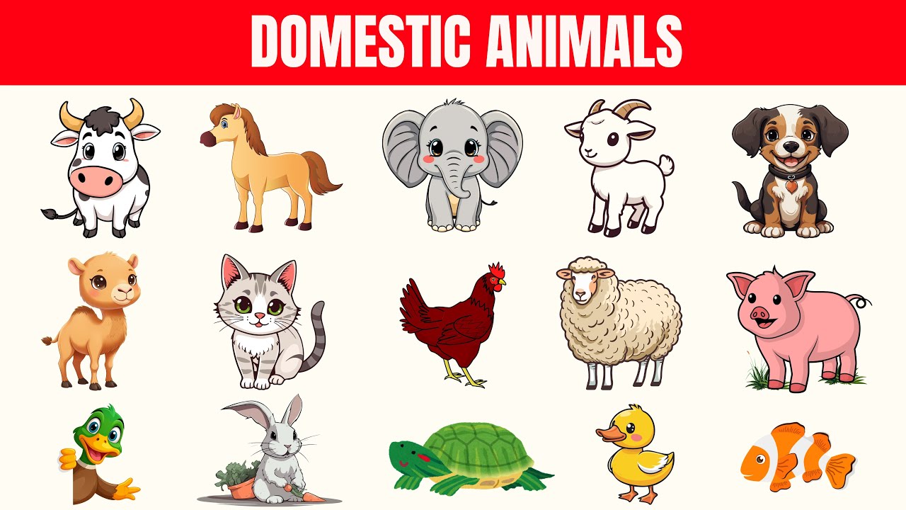Главный конкурс на лучшее имя для сельскохозяйственного животного! 🐘🐢🐓