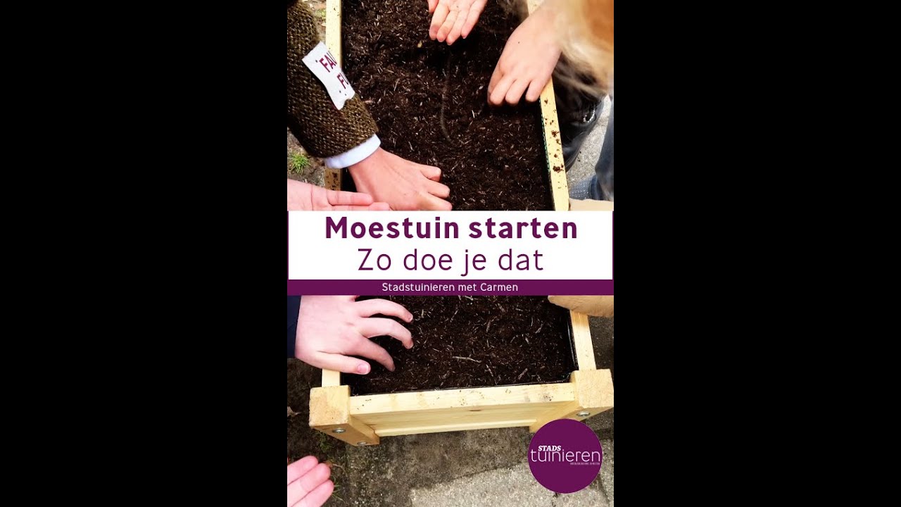 Stadstuinieren - Start je moestuin #moestuin