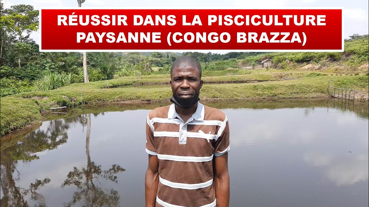 Réussir dans la pisciculture paysanne (Congo Brazzaville)