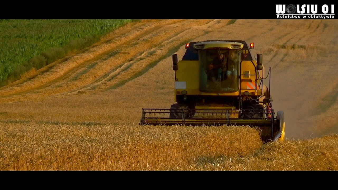 ☆Żniwa na Kujawach 2019 !☆New Holland//John Deere//Forschnit