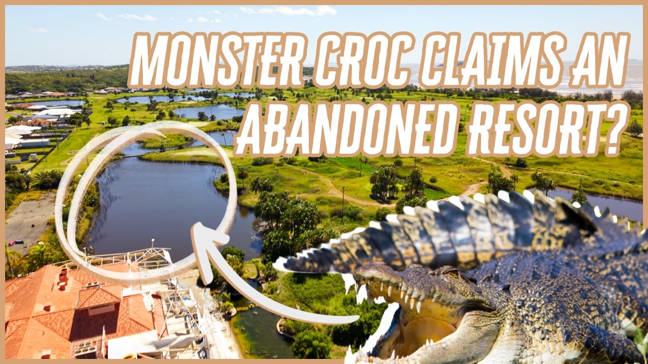 We Track a Crocodile Lurking in an Abandoned Resort